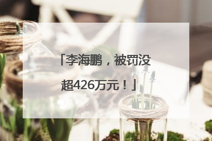 李海鹏，被罚没超426万元！
